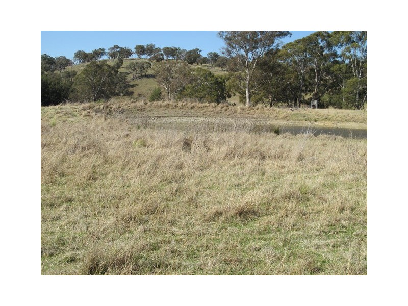 23 and 127 Campbells Creek Road, Mudgee NSW 2850