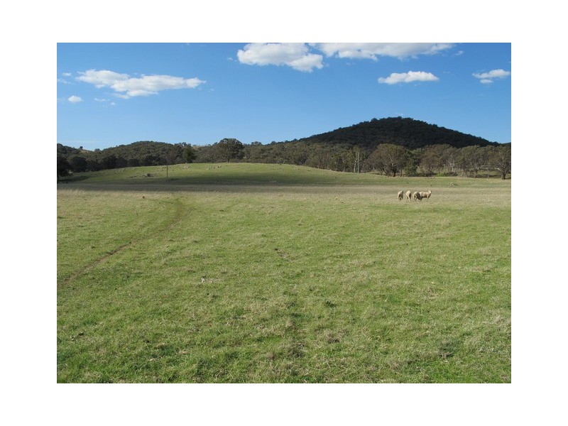 14, 15, 37, 51 Campbells Creek Road, Mudgee NSW 2850