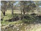 14, 15, 37, 51 Campbells Creek Road, Mudgee NSW 2850