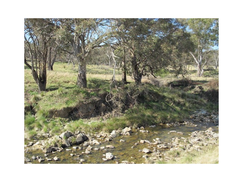 14, 15, 37, 51 Campbells Creek Road, Mudgee NSW 2850