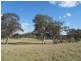 14, 15, 37, 51 Campbells Creek Road, Mudgee NSW 2850
