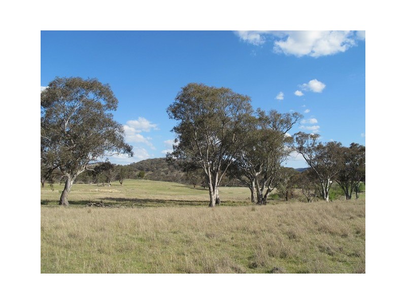 14, 15, 37, 51 Campbells Creek Road, Mudgee NSW 2850