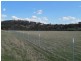 14, 15, 37, 51 Campbells Creek Road, Mudgee NSW 2850