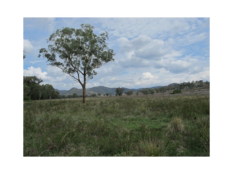 Mudgee NSW 2850