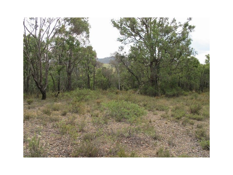 Lot 23 / 801 Hill End Road, Mudgee NSW 2850