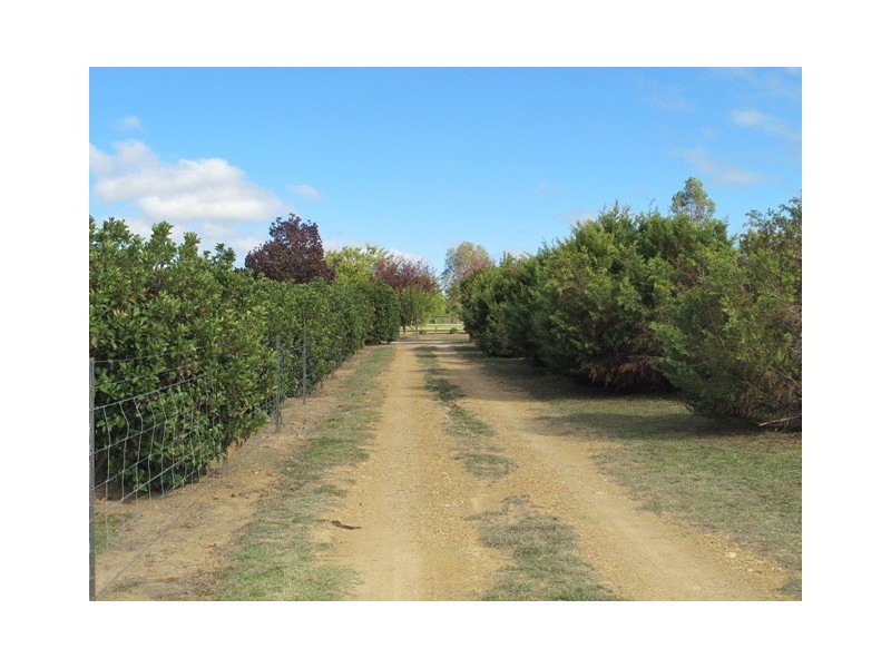 38 Leconfield Drive, Mudgee NSW 2850