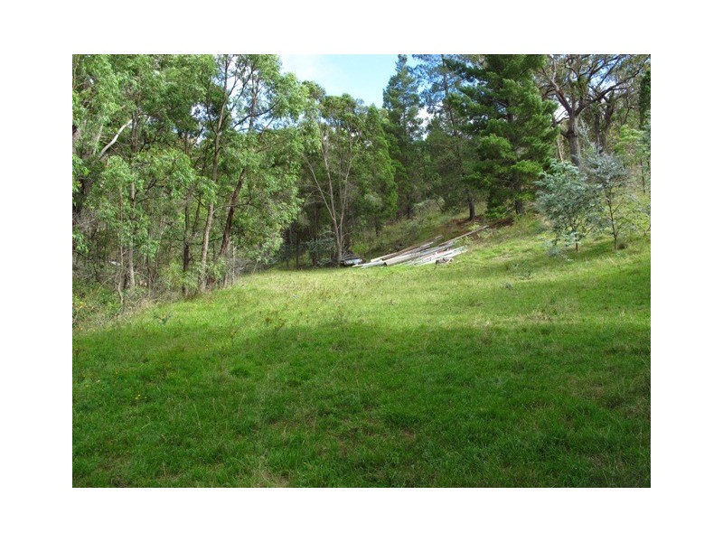 55 Peach Tree Lane, Mudgee NSW 2850