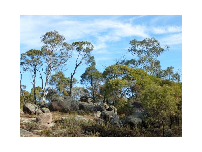 834 Ridge Road, Mudgee NSW 2850