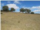 839 Bocoble Road, Mudgee NSW 2850