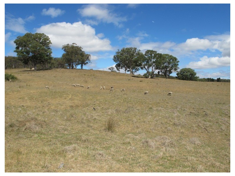 839 Bocoble Road, Mudgee NSW 2850