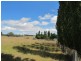839 Bocoble Road, Mudgee NSW 2850