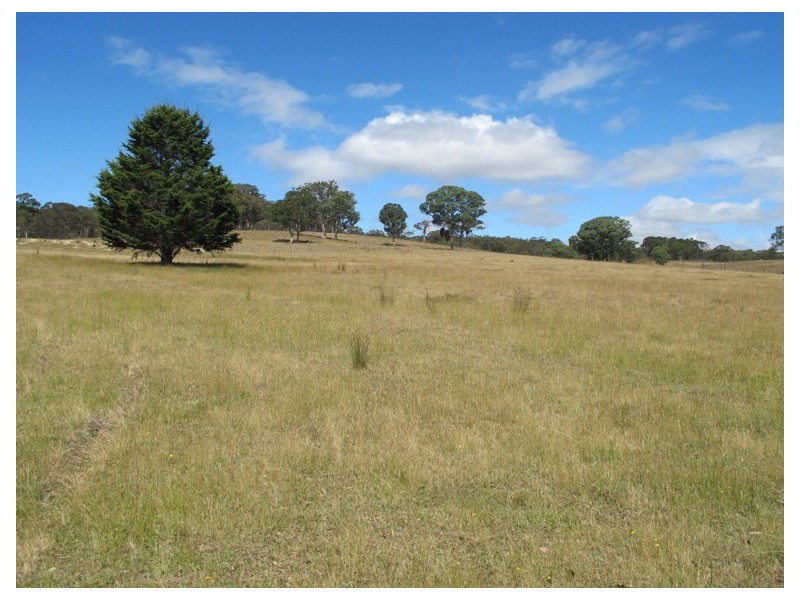 839 Bocoble Road, Mudgee NSW 2850