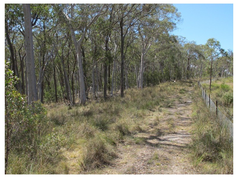 839 Bocoble Road, Mudgee NSW 2850