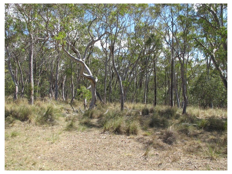 839 Bocoble Road, Mudgee NSW 2850