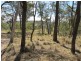 839 Bocoble Road, Mudgee NSW 2850