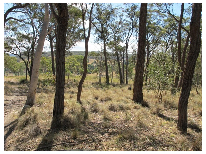 839 Bocoble Road, Mudgee NSW 2850