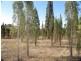 845 Ridge Road, Mudgee NSW 2850