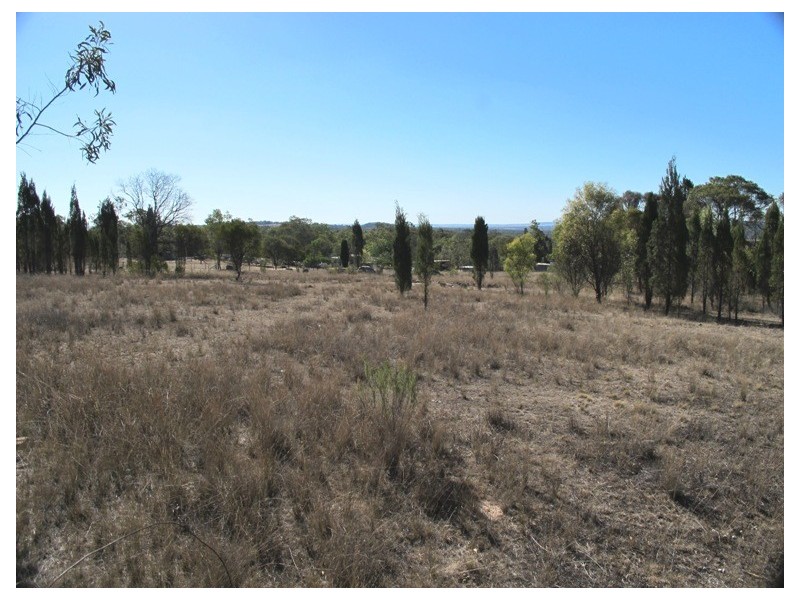 845 Ridge Road, Mudgee NSW 2850