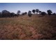 Belvedere 1716 Castlereagh Hwy, Mudgee NSW 2850