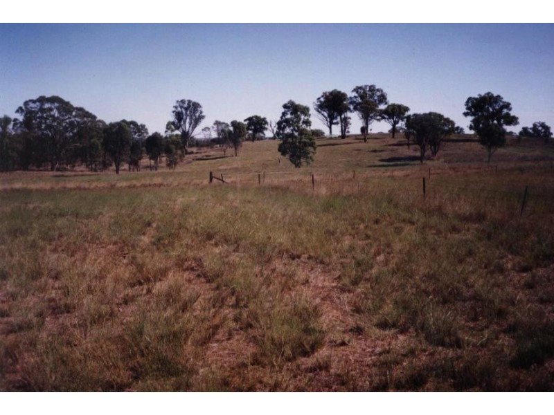 Belvedere 1716 Castlereagh Hwy, Mudgee NSW 2850