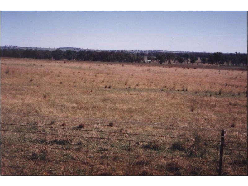 Belvedere 1716 Castlereagh Hwy, Mudgee NSW 2850