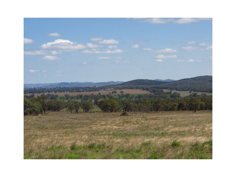 Belvedere 1716 Castlereagh Hwy, Mudgee NSW 2850