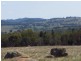 Belvedere 1716 Castlereagh Hwy, Mudgee NSW 2850