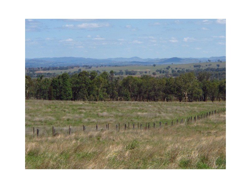 Belvedere 1716 Castlereagh Hwy, Mudgee NSW 2850