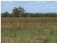 Belvedere 1716 Castlereagh Hwy, Mudgee NSW 2850