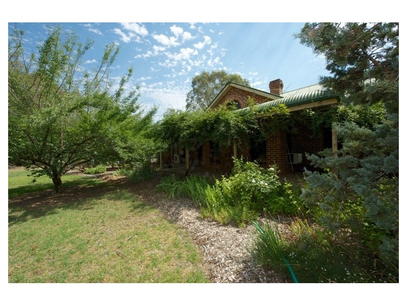 1429 Hill End Road, Mudgee NSW 2850
