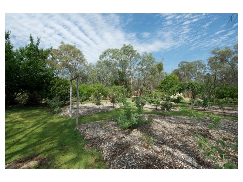 1429 Hill End Road, Mudgee NSW 2850