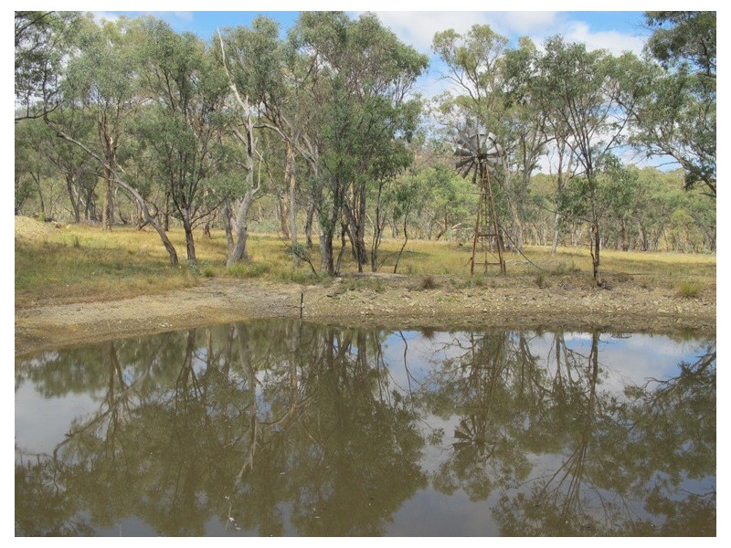 69 Wilson Road, Mudgee NSW 2850