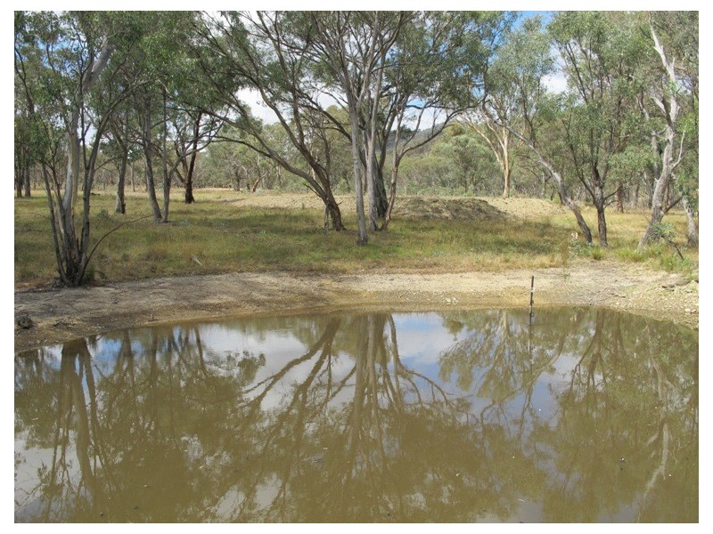 69 Wilson Road, Mudgee NSW 2850