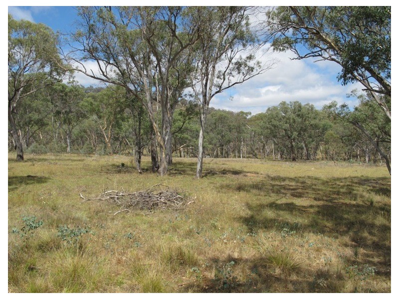 69 Wilson Road, Mudgee NSW 2850