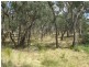 69 Wilson Road, Mudgee NSW 2850