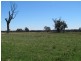 151 Wattlegrove Lane, Mudgee NSW 2850