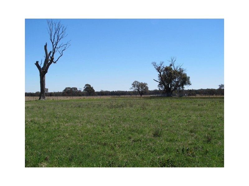 151 Wattlegrove Lane, Mudgee NSW 2850