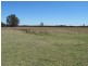 151 Wattlegrove Lane, Mudgee NSW 2850