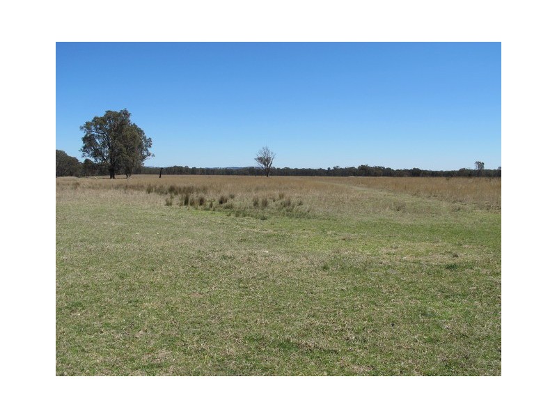 151 Wattlegrove Lane, Mudgee NSW 2850