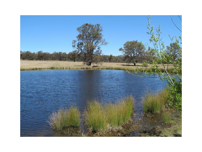 151 Wattlegrove Lane, Mudgee NSW 2850