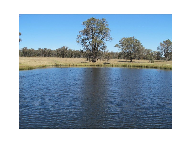 151 Wattlegrove Lane, Mudgee NSW 2850