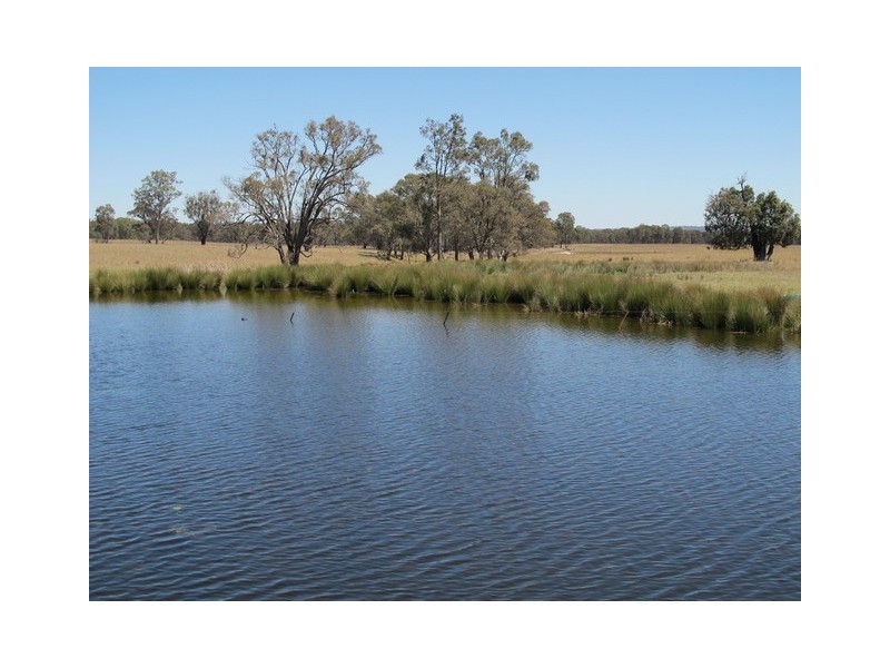151 Wattlegrove Lane, Mudgee NSW 2850