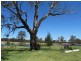 151 Wattlegrove Lane, Mudgee NSW 2850