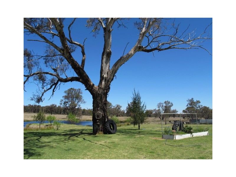 151 Wattlegrove Lane, Mudgee NSW 2850