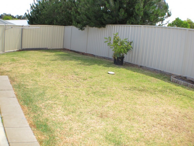 Mudgee NSW 2850