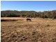 Lots 6 and 274 Mudgee Street, Mudgee NSW 2850