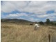 Lots 6 and 274 Mudgee Street, Mudgee NSW 2850