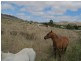 Lots 6 and 274 Mudgee Street, Mudgee NSW 2850