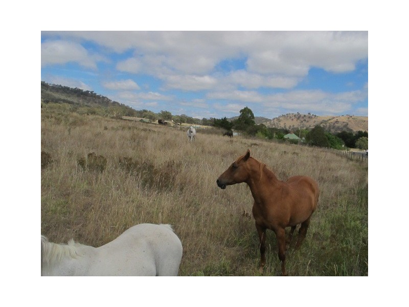 Lots 6 and 274 Mudgee Street, Mudgee NSW 2850