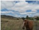 Lots 6 and 274 Mudgee Street, Mudgee NSW 2850